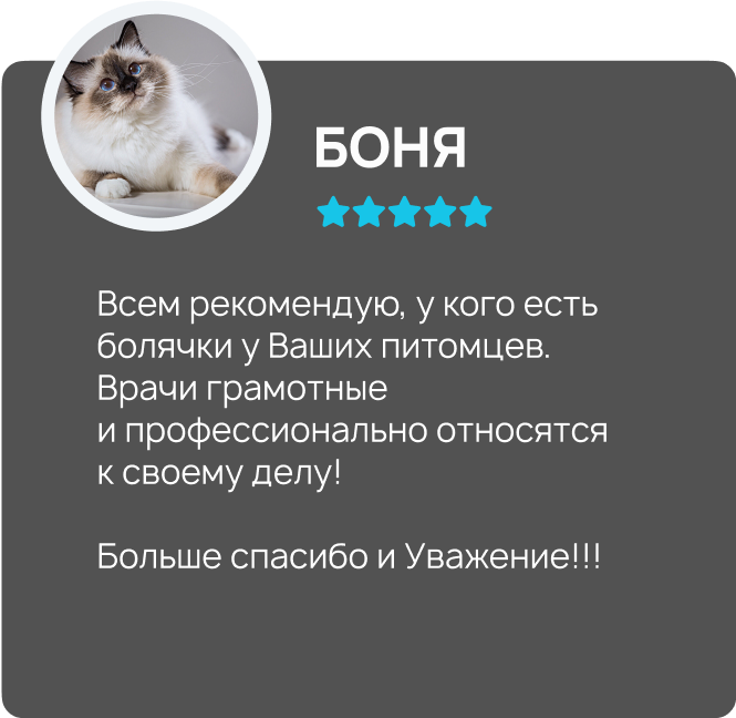 Центр здоровья животных, ветеринарная клиника, ветеринарная клиника в Туле, ветклиника центр здоровья животных, ветклиника, ветклиника тула, стерилизация собак Тула, стерилизация кошек Тула, врач ветеринар на дом, врач ветеринар на дом Тула, врач для животны, врач для животных Тула, врач по почкам ветеринар, врач хирург ветеринар, Тула ветеринар, Ветеринарная больница Тула, Тула лечение животных, Тула вакцина собаке, Тула вакцина кошке, стерилизация Тула, кастрация Тула, груминг Тула, зоогостиница Тула, передержка животных Тула, ветеринарная аптека Тула, ветеринарный врач Тула, лечение животных, вакцинация, стерилизация, кастрация, кастрация собак, кастрация кошек, кастрация Тула, кастрация собак Тула, кастрация кошек Тула, груминг, груминг Тула, зоогостиница, передержка животных, ветеринарная аптека.