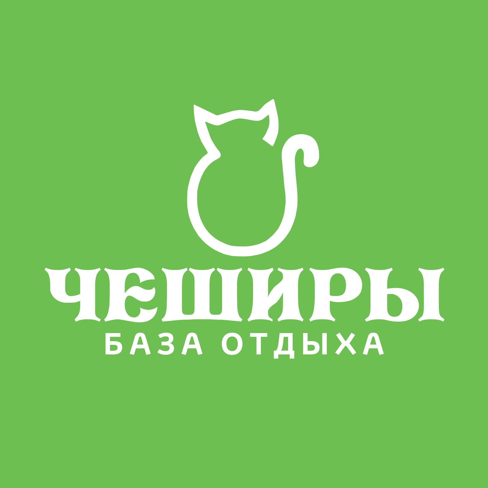 Copy of База отдыха Чеширы