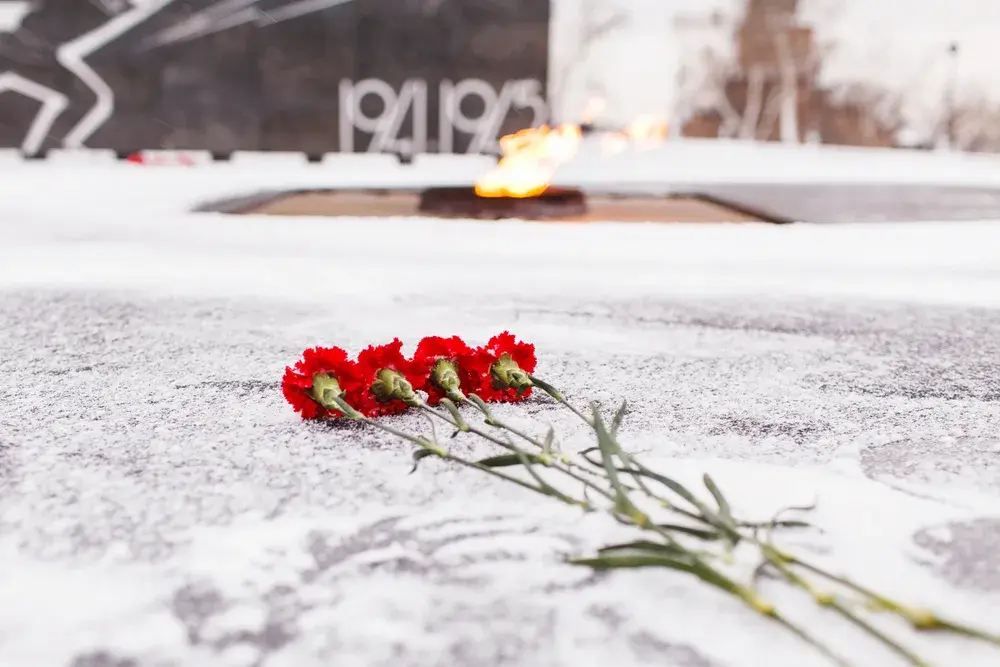 Красные гвоздики лежат на снегу у мемориала Вечный огонь в зимний день.