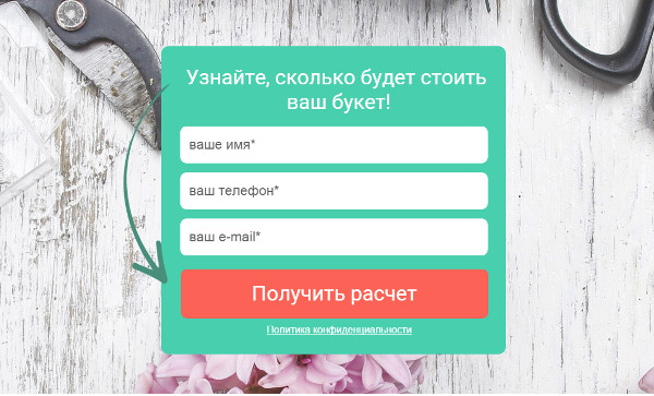 Что такое лид форма. Лид форма. Лид форма пример. Макет лид формы. Форма заявки лендинг.