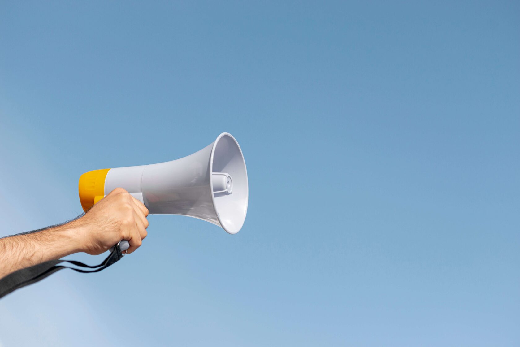 Виды рекламы seo