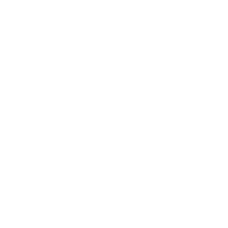 Портретная экспертиза