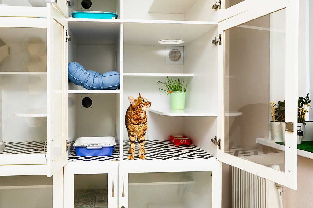 Зоогостиница для животных