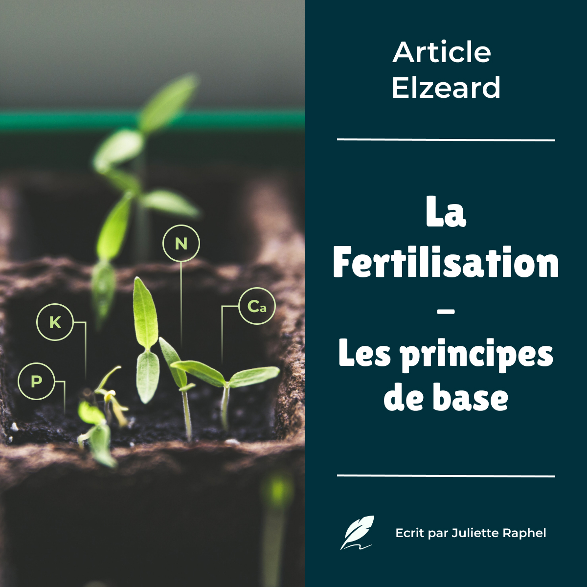 Les principes de base de la fertilisation des sols