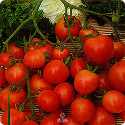 Seeds of Tomato Prince Bayaya (solanum lycopersicum) — 10 pcs