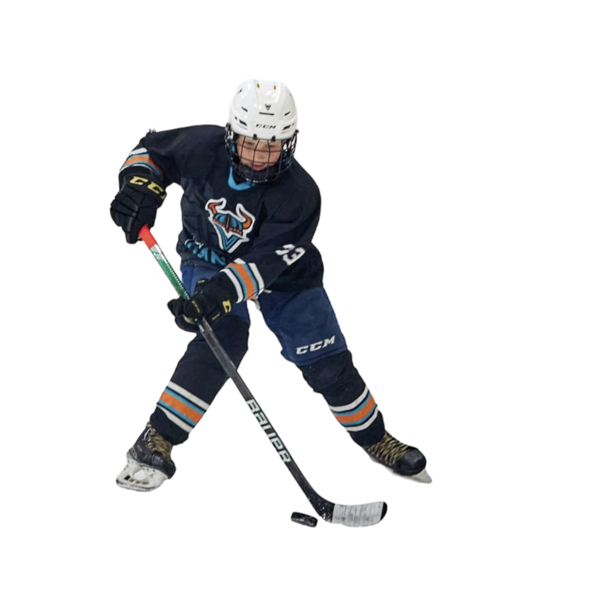 школа хоккея