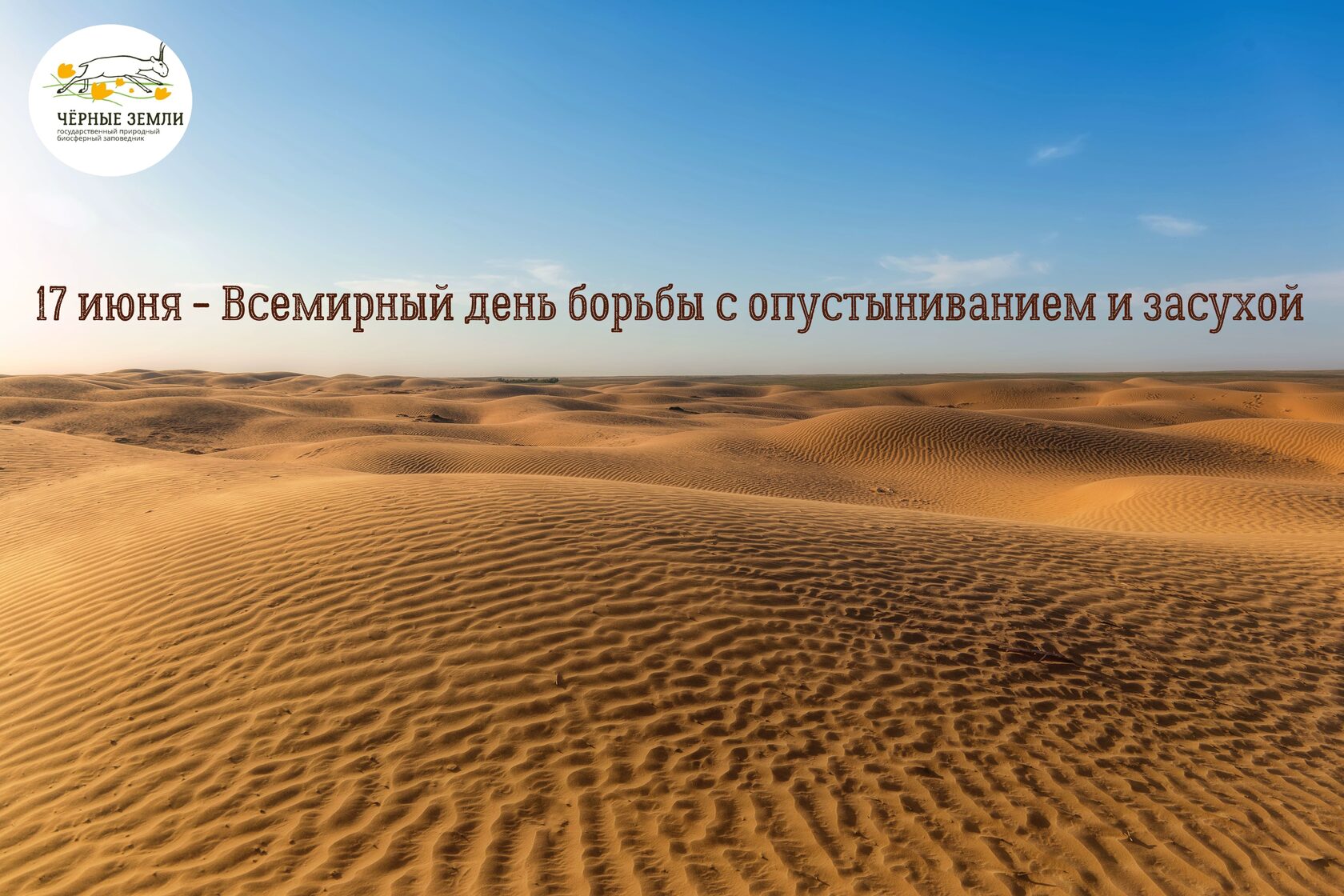 Фото В.Гарус.