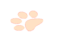 noroot.png