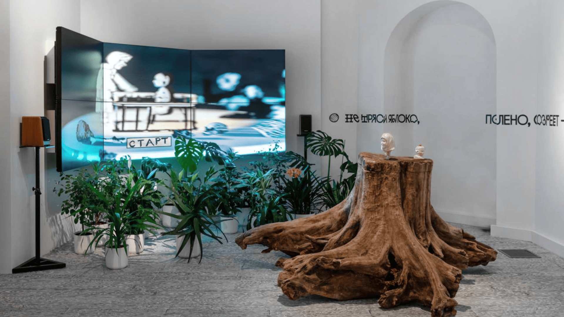 Я иду искать, выставка, Никита Петров, выставка в Царицыно