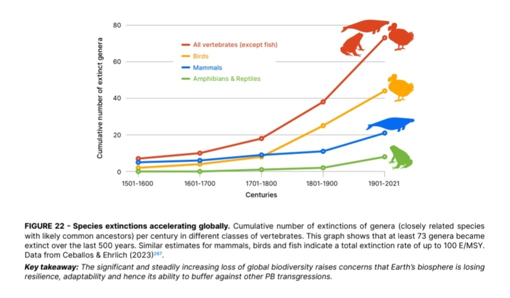 C:\Users\U S E R\Downloads\1000043153.jpg
