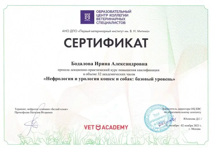 Контроль показателей анестезиологом