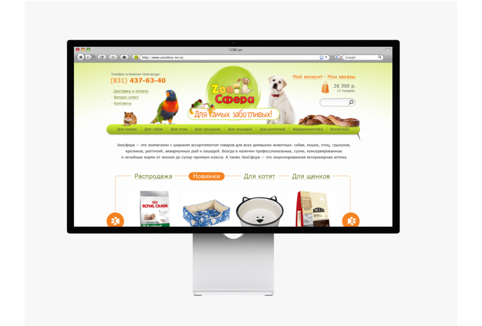Создание интернет магазина зоотоваров