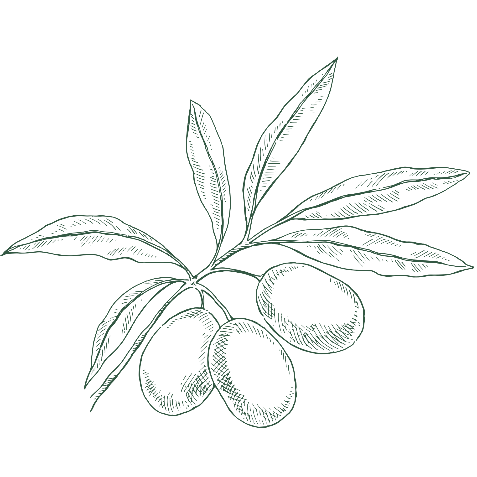 блюда из мяса рецепты, пп ужин рецепты, рецепты белковых блюд, пп рецепты рыбы, мясо пп рецепты, рецепты белковых блюд для похудения, рецепты волкова, диета волкова