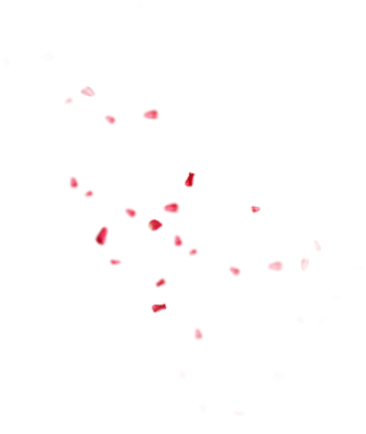 первые частички для торта