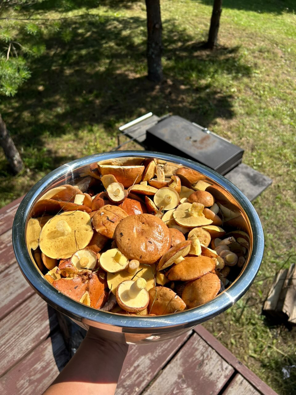 Торополис, база отдыха