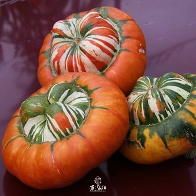 Seeds of Pumpkin ornamental mushroom (Cucurbita) — 5 pcs