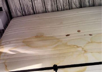 После проекта 2