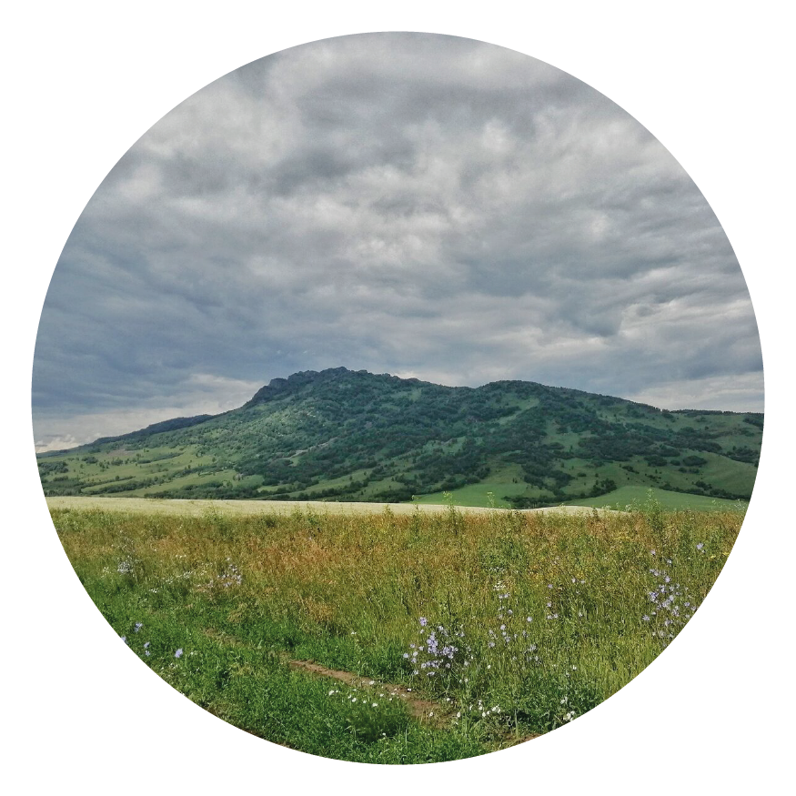 Список троп