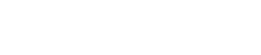 Business Cruise