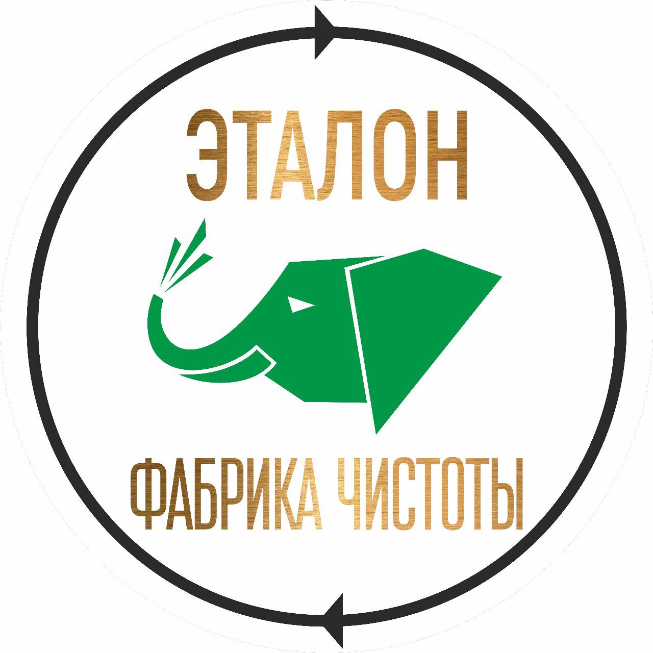 профессиональная чистка ковров и мягкой мебели Эталон фабрика чистоты