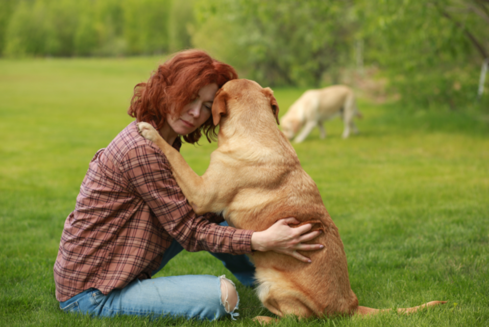 <div style="font-size:20px;" data-customstyle="yes"><span style="font-family: TildaSans; color: rgb(148, 50, 50);">Принципы и ценности в работе</span></div>