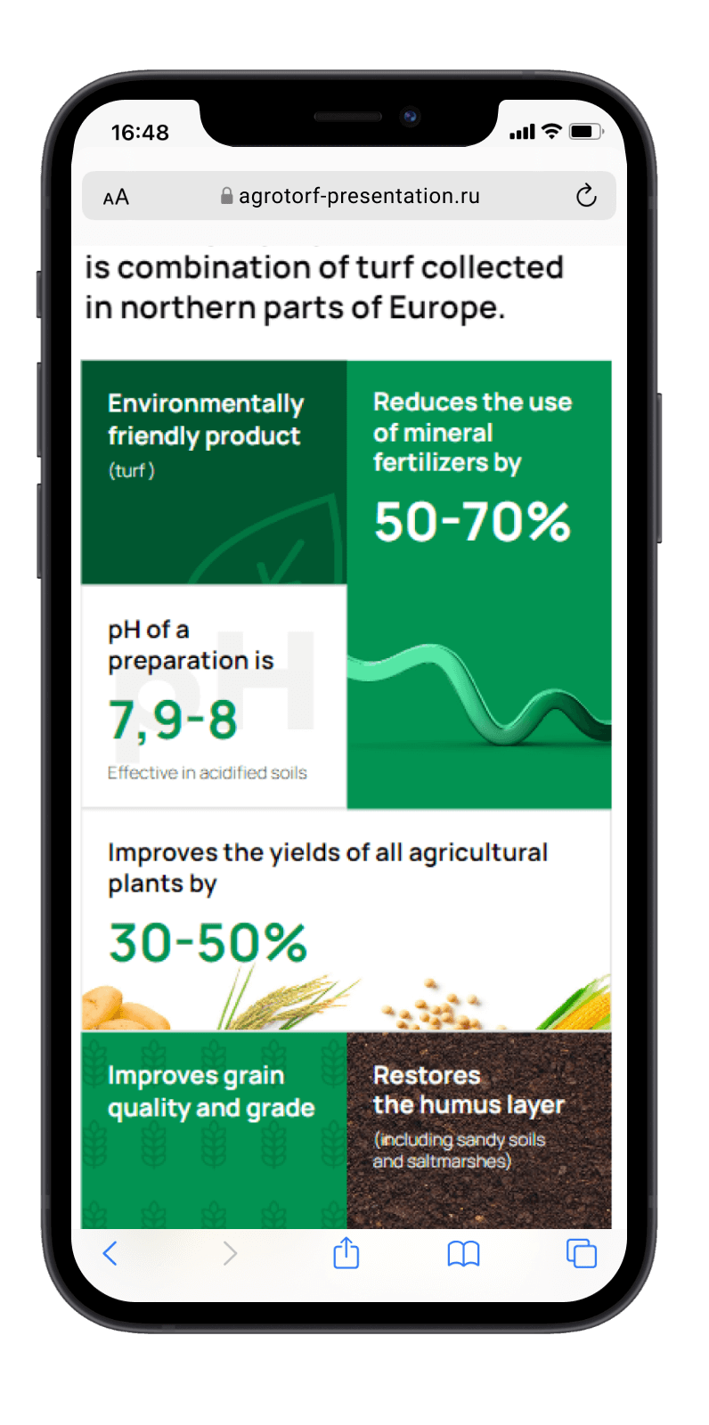 Студия веб-дизайна Шеиной Александры. Разработка сайта на тильде. Сделать сайт на тильде. Заказать сайт на тильде.