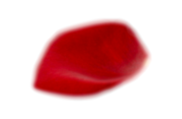 Лепестки роз в колбе