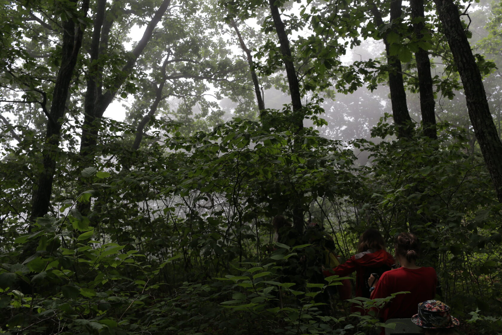 Видео арсеньева. Владимир арсеньев. Гтрк приморье архангельск про охоту. Приколеджный парк арсеньев. Гтрк приморье архангельск про охоту.