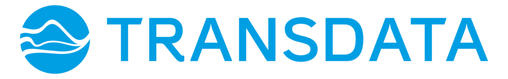 ПАРМА ИТ