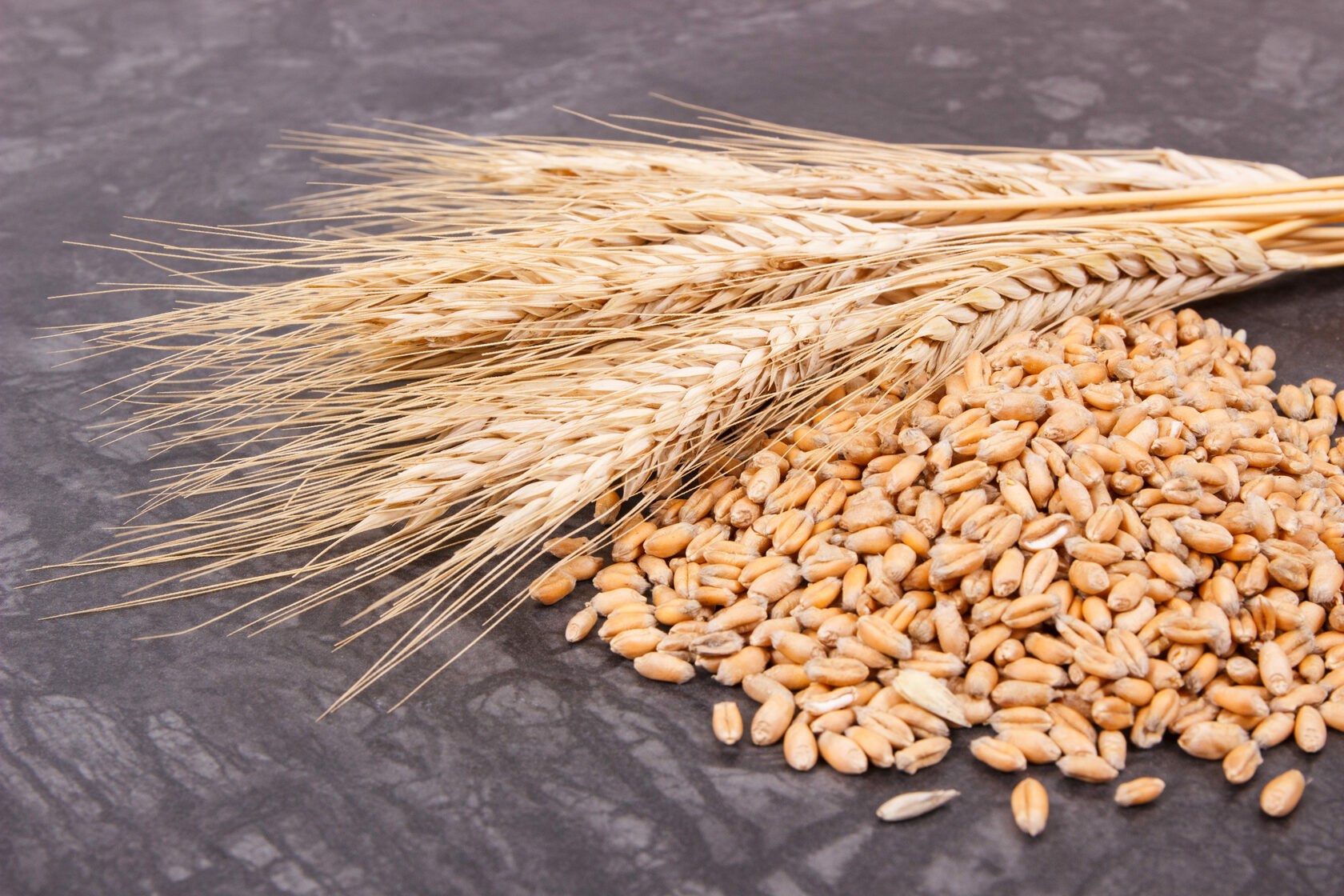 Пшеничные культуры. Пшеница. Пшеница для детей. Зерновые культуры. Урожай пшеницы.