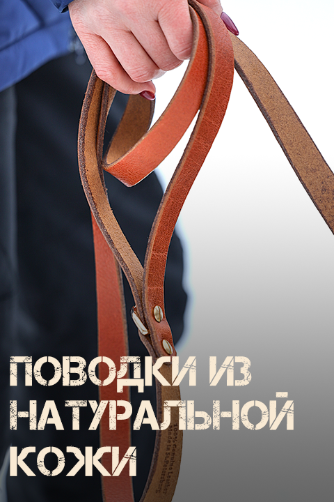 Аксессуары для собак и их владельцев Collar-Lux