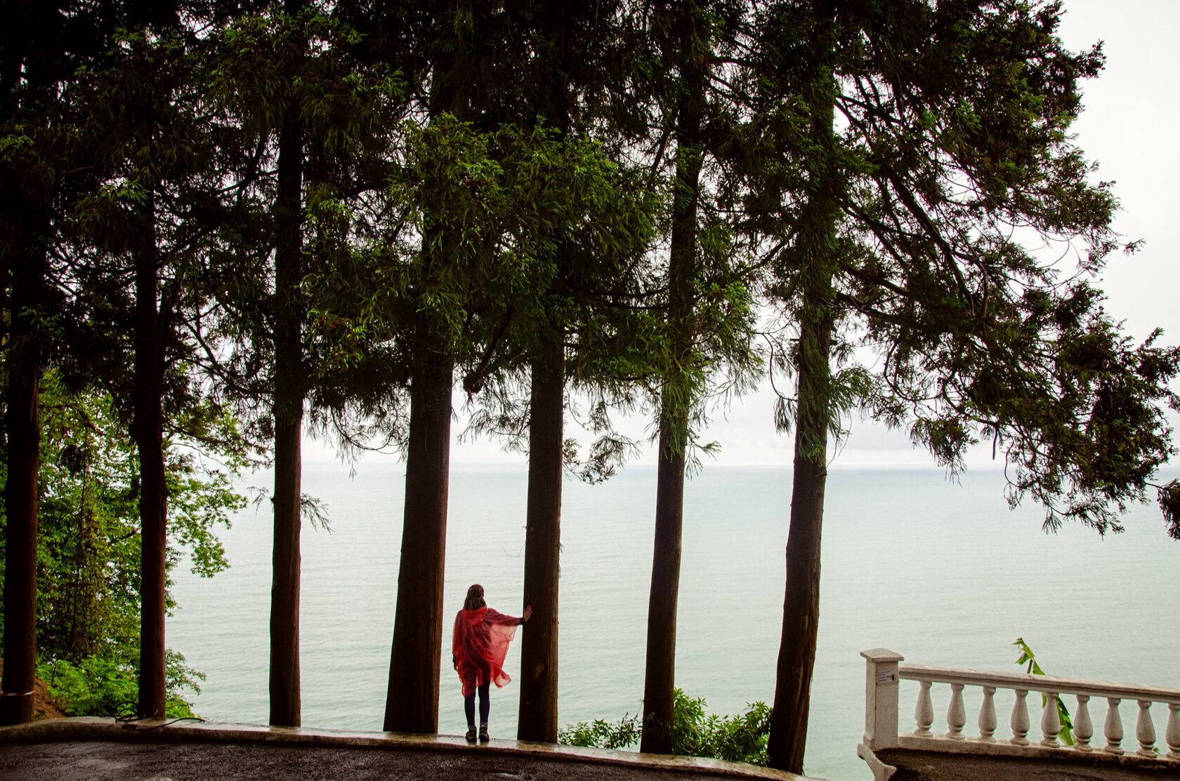 Фотограф Ян Севальнев