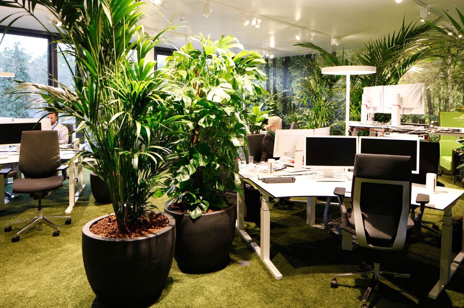 Озеленение офиса