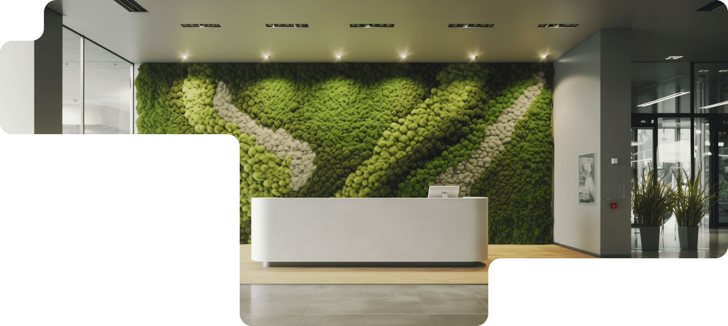 стабилизированный мох для фитнес-центра