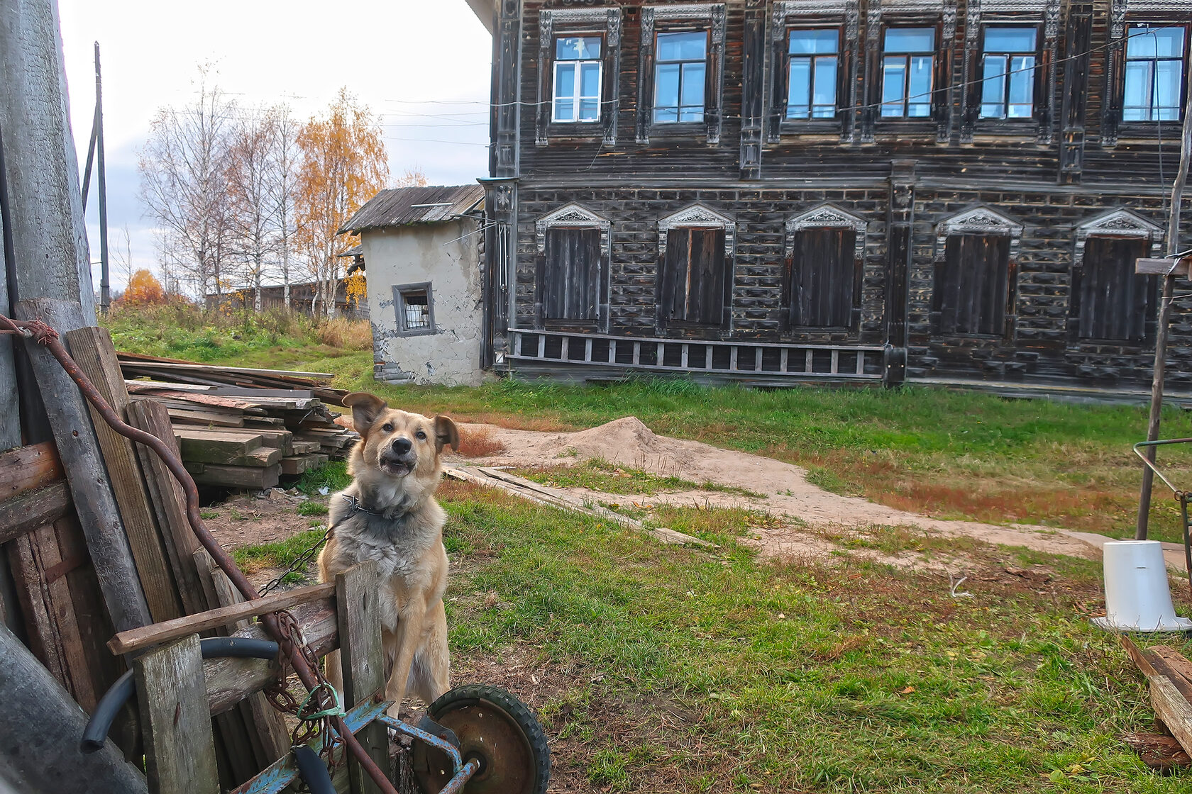 Вдоль северного