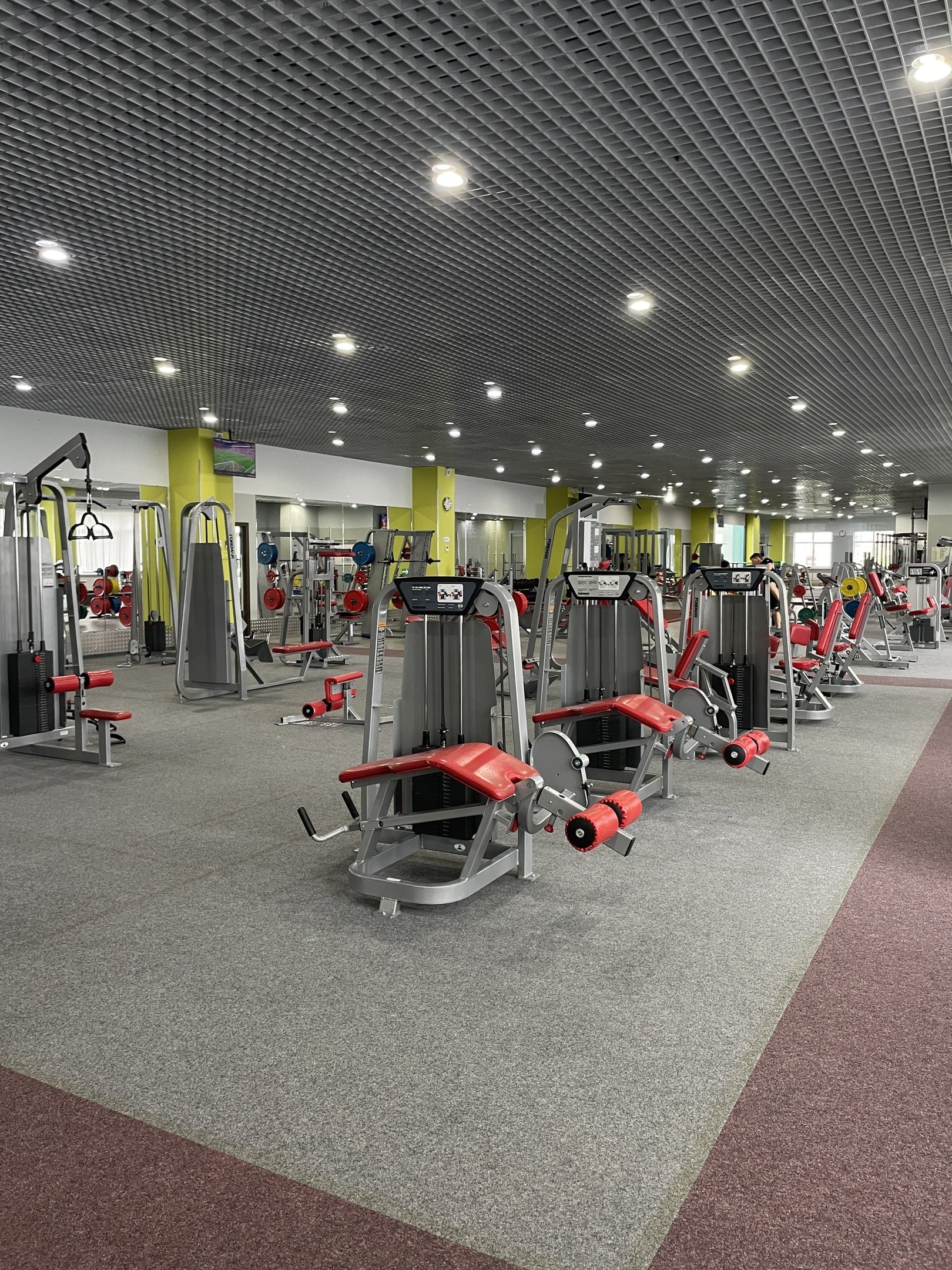 Фитекс авиамоторная