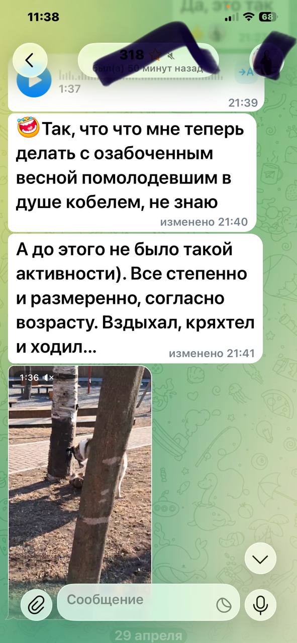 Скриншот отзыва 2