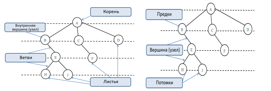 Дерево как структура данных