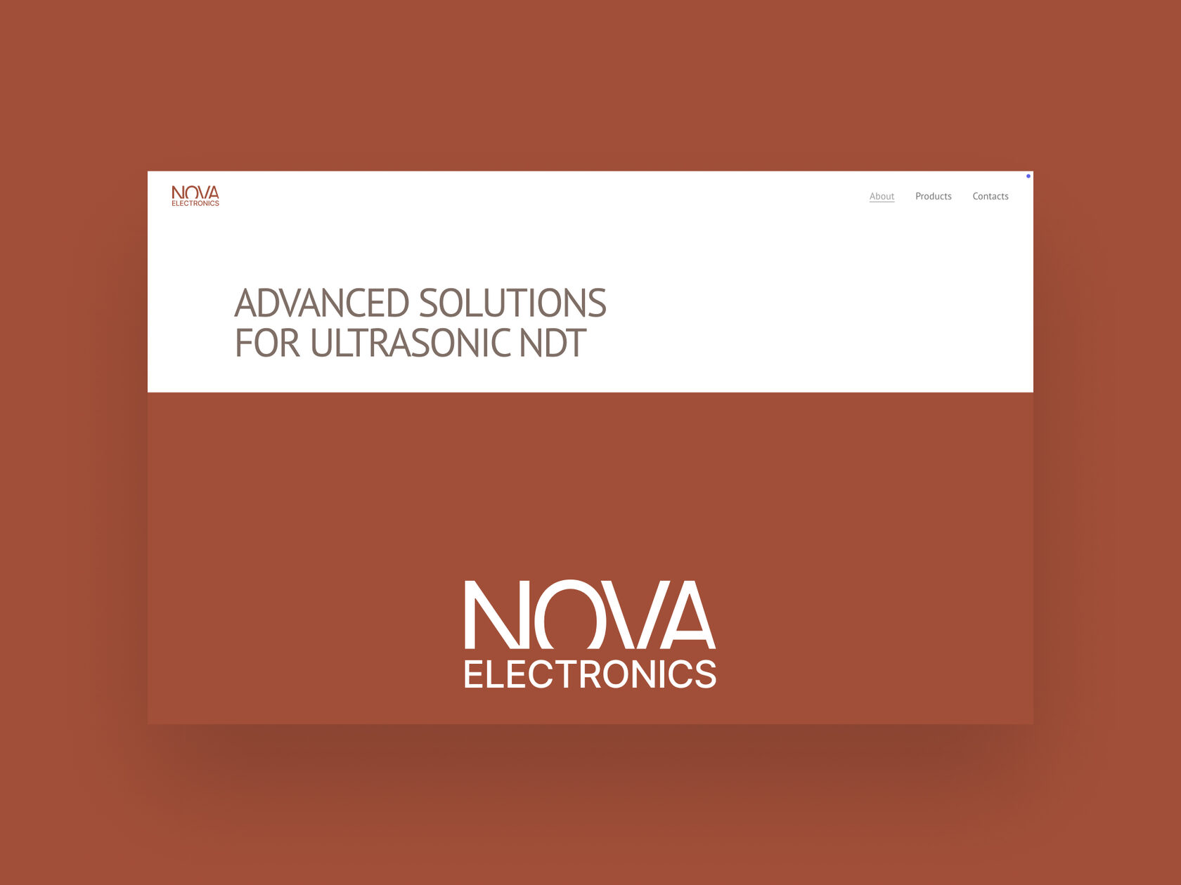 Advanced solutions for ultrasonic NDT