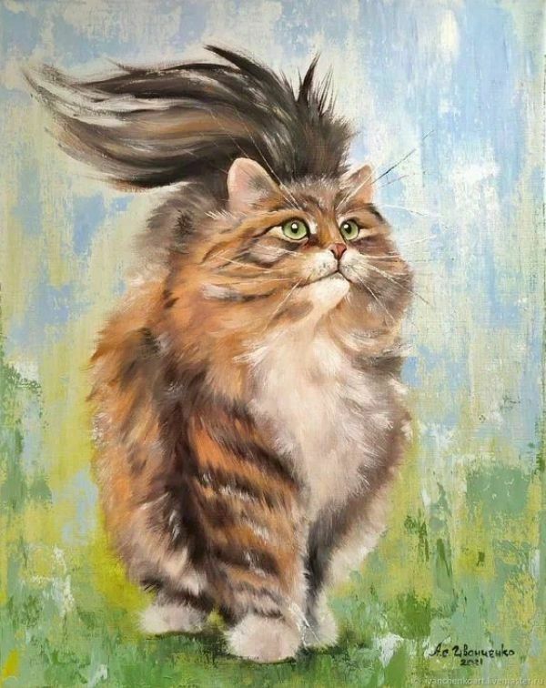 Кот