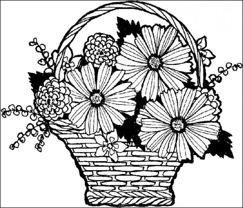 Флористика рисунок. Раскраска корзина с цветами. Эскиз цветочной композиции. Корзинка с цветами раскраска. Корзина с цветами карандашом.