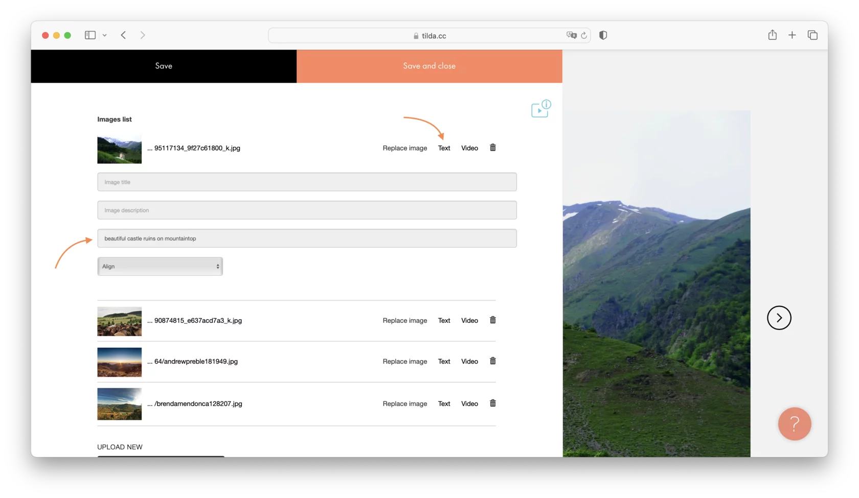 Digital Accessibility on Tilda │ Tilda Help Center