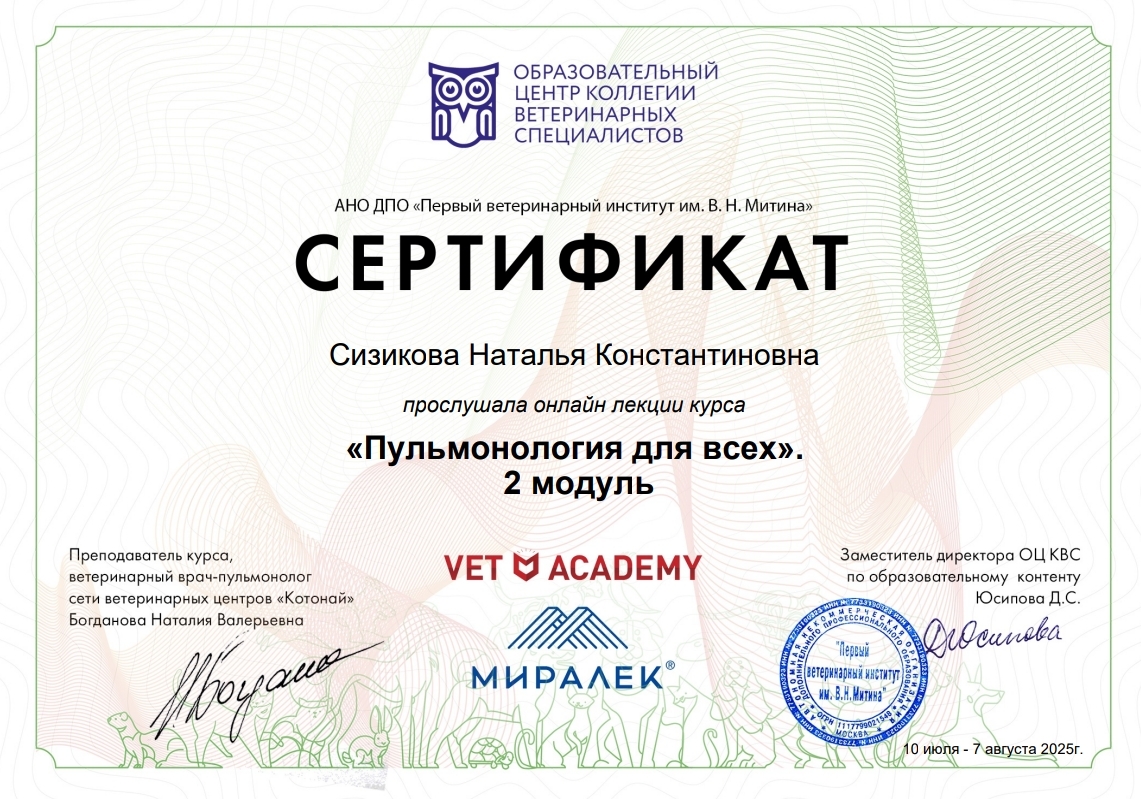Сертификат об обучении 38