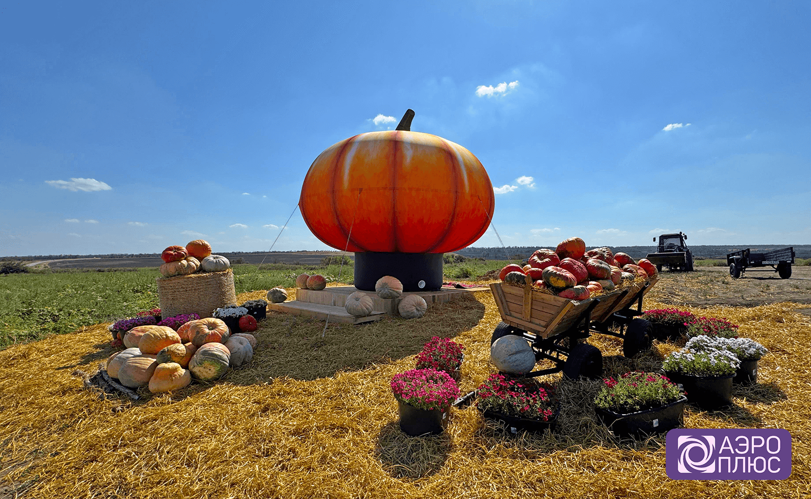 Надувная тыква 5 метров