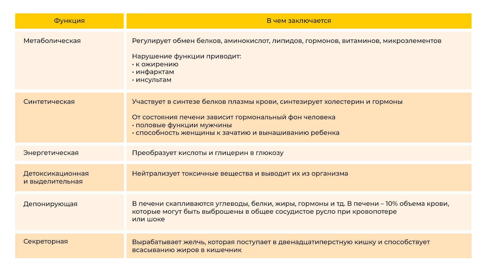 Здоровье и защита печени с продуктами пчеловодства