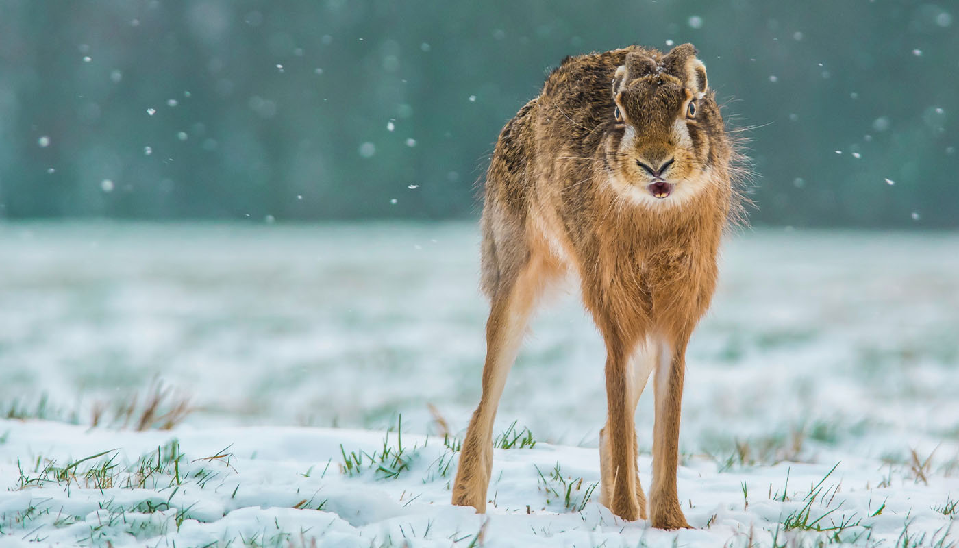 Симптомы эмоционального выгорания