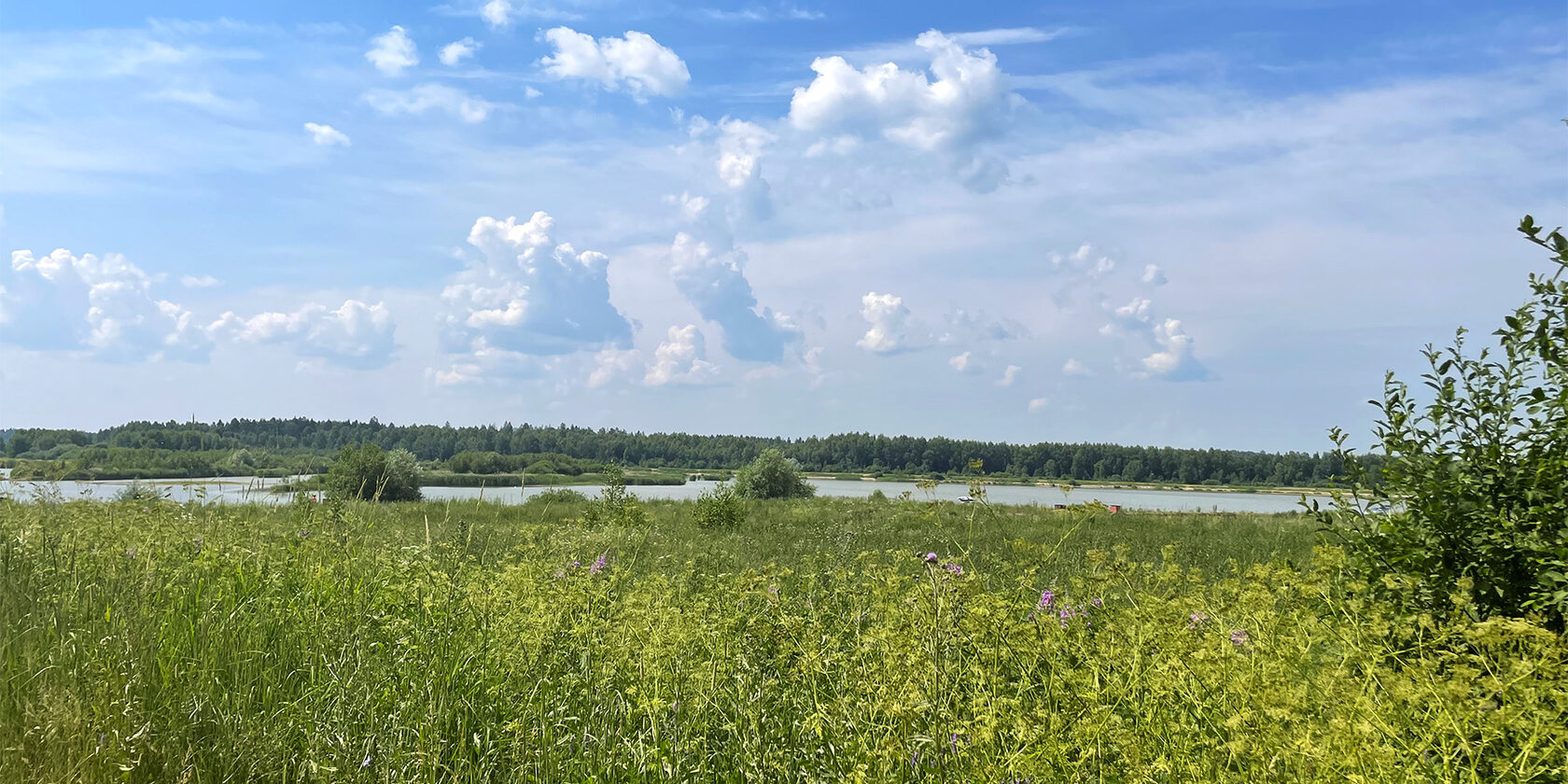 Купить Участок На Заре В Чайковском