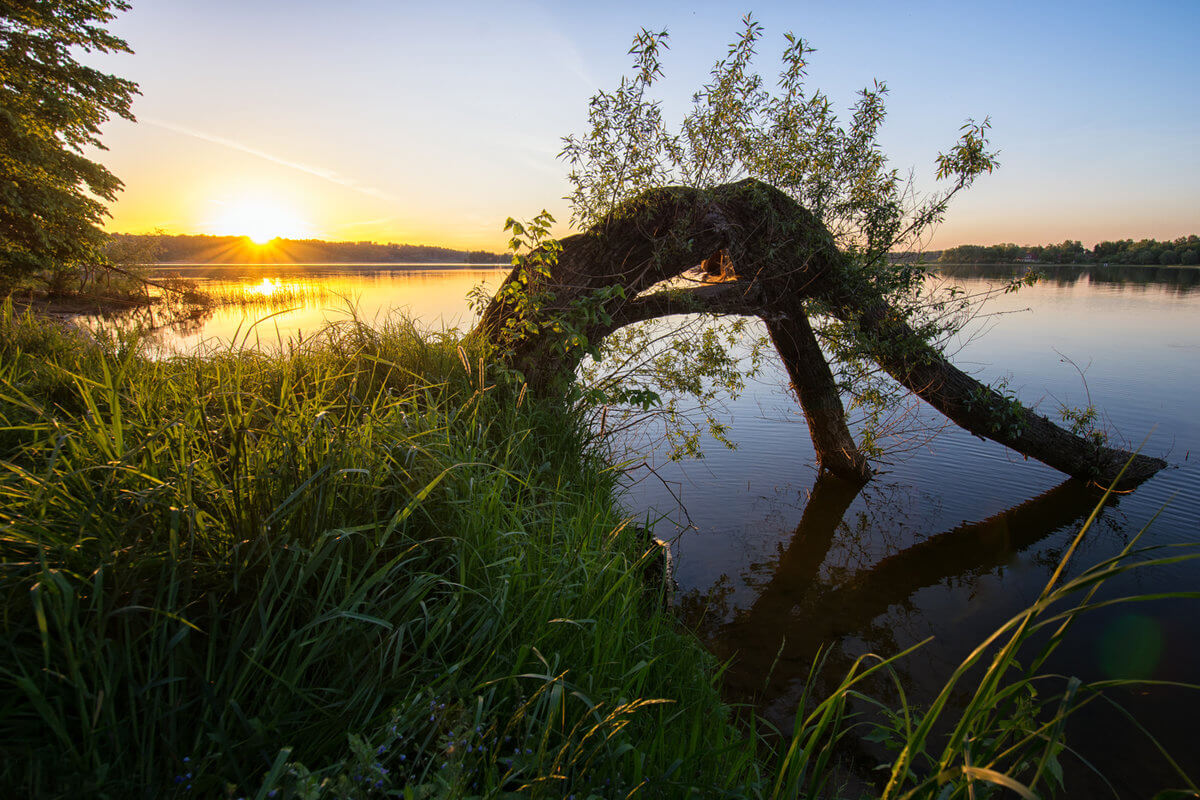 Фото истринского водохранилища