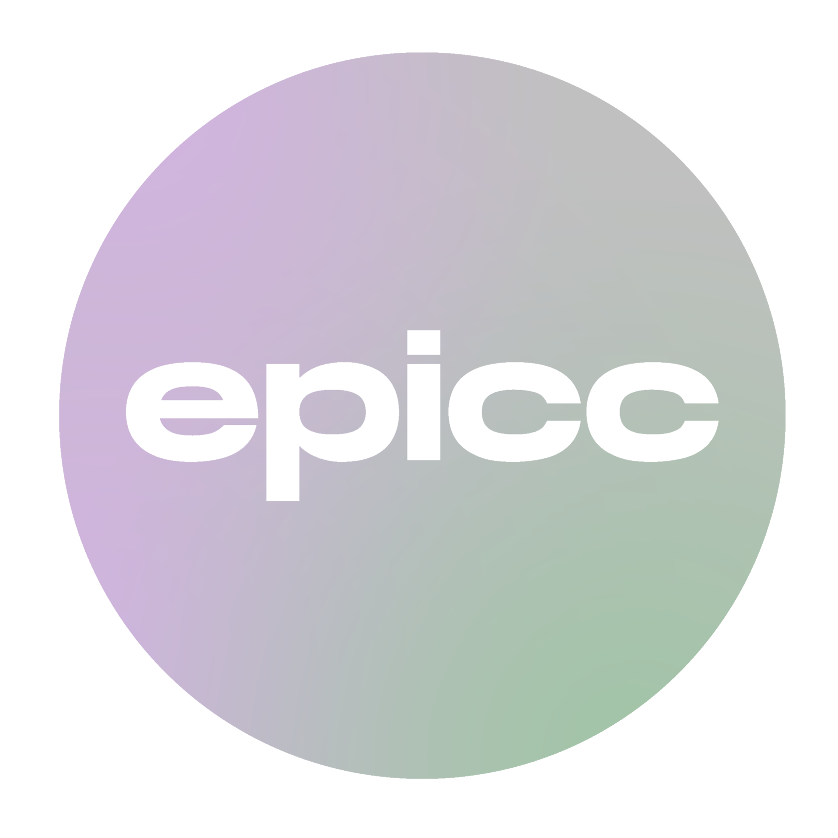 Epicc Agency 2024