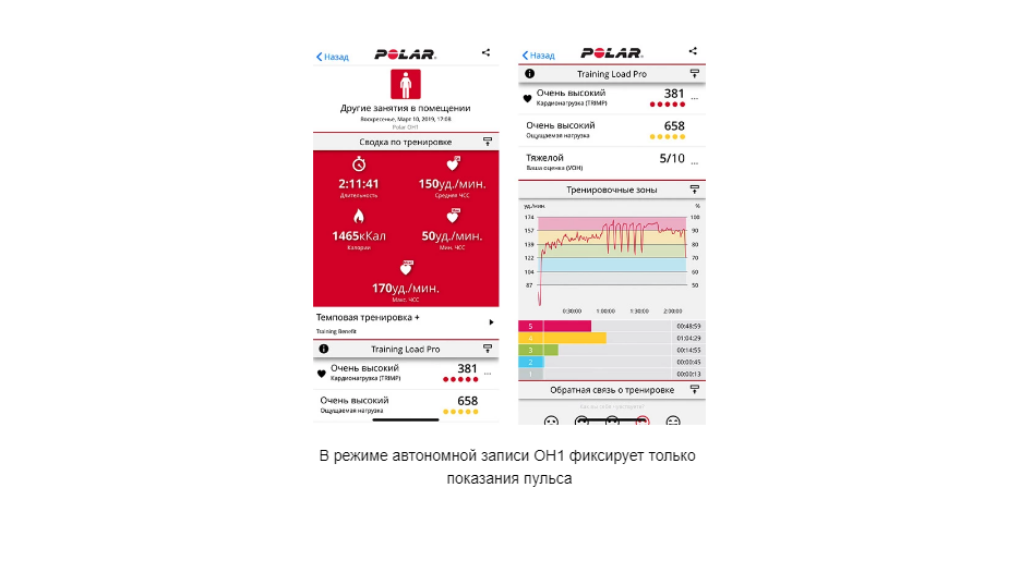 Пульт 81LTV к марке POLAR